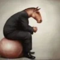 TikTok Account - murinodron