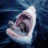 TikTok Account - shershcat