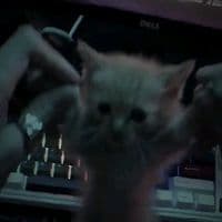 TikTok Account - x.lvxl0