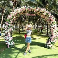 TikTok Account - bichnguyen14787