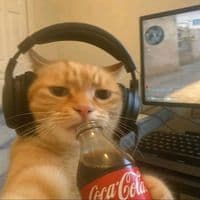 TikTok Account - wmusic_10