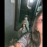 TikTok Account - wiliannys336