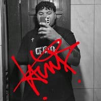 TikTok Account - vawp_p