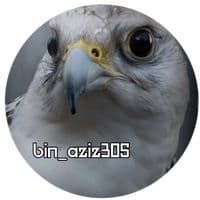 TikTok Account - bin_aziz305