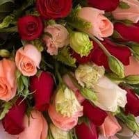 TikTok Account - user48594546334656