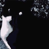 TikTok Account - mayonnaise_exe_nekotaro