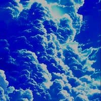 TikTok Account - user465620137530