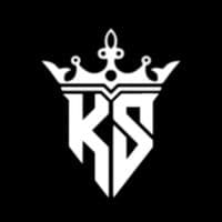 TikTok Account - ks.music102