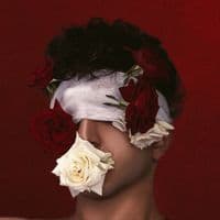 TikTok Account - momeenalaa