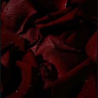 TikTok Account - a_unkn0wn05