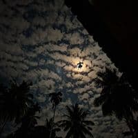 TikTok Account - oliverfch1