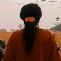 TikTok Account - bungamawar_inda.zzzzk0