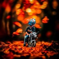 TikTok Account - sanjaydedon