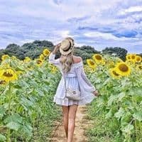 TikTok Account - president309