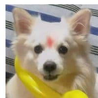 TikTok Account - snowfy_2