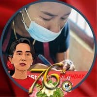 TikTok Account - dyha3ihjqv3v