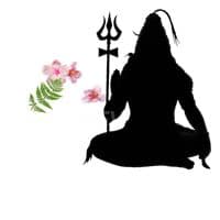 TikTok Account - samarroy521