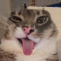 TikTok Account - tasikovv