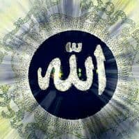 TikTok Account - _shaxriyor__000