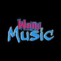 TikTok Account - wanjimusic76_vn