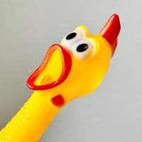 TikTok Account - chickenkunn