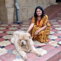 TikTok Account - uma1422