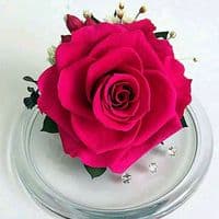 TikTok Account - daddy_lover_sowju_sweety