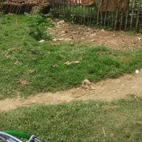 TikTok Account - masumsk729