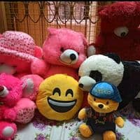 TikTok Account - sadhanamandal29