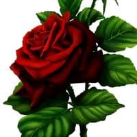 TikTok Account - kedukettavan1234