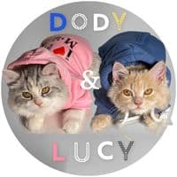 TikTok Account - lucydody7