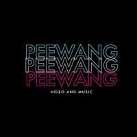 TikTok Account - pee_wang_edits