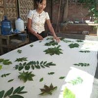 TikTok Account - user346258410602