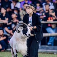 TikTok Account - cindynabilla.real