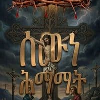 TikTok Account - melikamu_____24