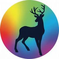 TikTok Account - shahena.music