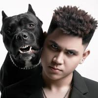 TikTok Account - dj_thinhlouiss