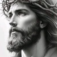 TikTok Account - mogestatttoo