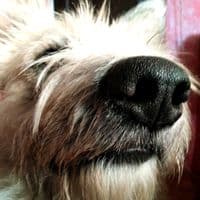 TikTok Account - sergio43780