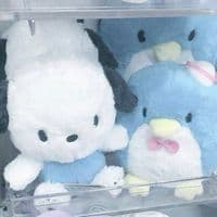 TikTok Account - niceandnowhere