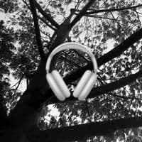 TikTok Account - rolis.x.plus