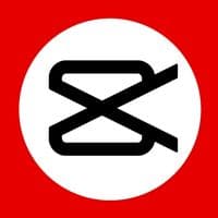 TikTok Account - leeyuumer