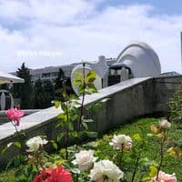 TikTok Account - elmirhaciyev89