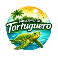 TikTok Account - vacacionestortuguero