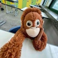 TikTok Account - nurillainaa