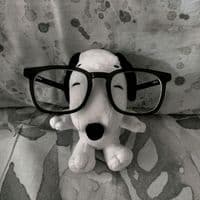 TikTok Account - alekiss_20