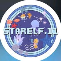 TikTok Account - starelf.11