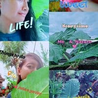 TikTok Account - nirmalashantiniputu