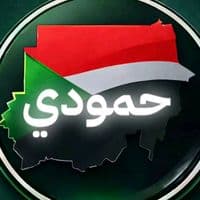 TikTok Account - hamoudio3