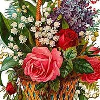 TikTok Account - hadiza4879